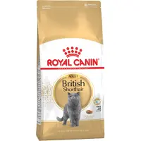 Royal Canin Droogvoer kat british shorthaar adult 4 kg Royal Canin online kopen