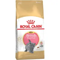 Royal Canin British Shorthair Kitten - Kattenvoer