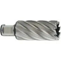 Metabo 626526000 Kernboor 17 mm 1 stuk(s)