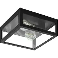 Eglo 99122 Amezola Wand-/plafondlamp Staal Zwart/Glas Helder - 2 x E27