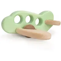 Bajo Houten Vliegtuig, Mint