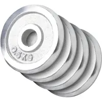 Gorilla Sports Halterschijven 4 x 0,5 kg Chroom