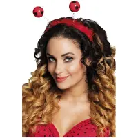 Boland Diadeem lievenheersbeestje (rood)