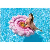 Intex Pink Daisy fllower