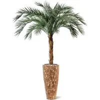 Maxifleur Kunstplanten Phoenix kunstpalm OD deluxe 225cm