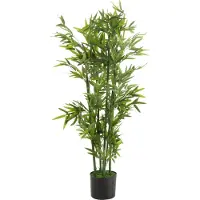 Dulaire Grote Kunst Bamboe Plant