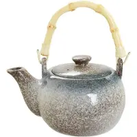 Tokyo Design Studio TDS Tajimi Theepot Zwart-Grijs 0.6 l