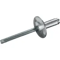 Goebel - 250 x Blindklinknagels (Ø x L) 4,8 x 12 mm - Staal verzinkt / Staal verzinkt - Grote kop - STANDARD - 7081148120 - Popnagel