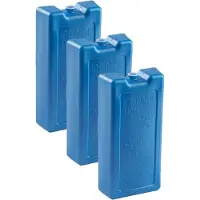 PlasticForte Koelementen - 6x stuks - 1,1 kg - 22 x 11 x 5 cm - extra groot