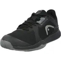Head Sprint Team 3.5 Clay Clay Shoes Zwart EU 41 Man