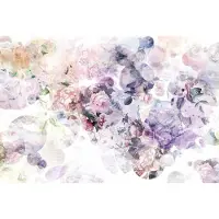 Komar Fotobehang Wish - Meerkleurig - 2,48m X 368cm