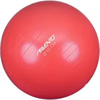 Avento Oefen- en gymnastiekbal | Maat 65 cm