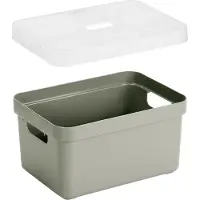 Sunware Opbergboxes - manden - 4x stuks - lichtgroen - 5 liter - kunststof - transparante deksel - 25 x 18 x 12 cm