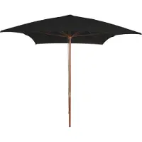 vidaXL - Parasol - met - houten - paal - 200x300 - cm - zwart