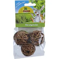 Intratuin JR Farm Wilgenbal 3 Stuks 20 G