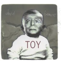 Bertus Distributie Toy
