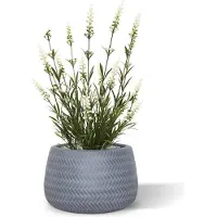 Maxifleur Kunstplanten Lavendel kunstplant 50cm in pot - wit - UV bestendig