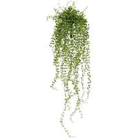 Maxifleur Kunstplanten Callisia kunst hangplant 70cm - UV bestendig