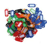 Pavo Sleutelhangers geassorteerde kleuren x100