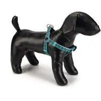 Beeztees BZ NY GESCH GEO DONKERGROEN 46-7 (Hond, Hondensport)