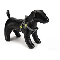 Beeztees Vista - Hondentuig - Donkergrijs - 46-74 cm