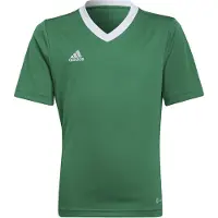 Adidas Functioneel shirt 'Entrada 22' grasgroen / wit