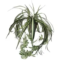 Mica Kunstplant Chloraphytum, lengte 45 cm