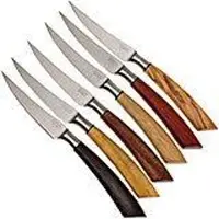 Saladini 6-delige steakmessenset 23 cm, geschenkset