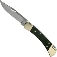 Buck Knives Buck Folding Hunter