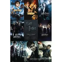 Art GBeye Harry Potter Collection Poster 61x91,5cm