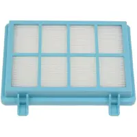 Philips Stofzuigerfilter 432200494481