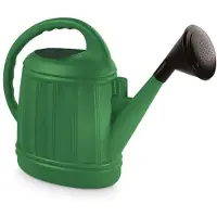 Hega hogar Tuinplanten gieter kunststof groen 12 liter - Gieters