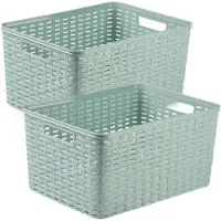 Forte Plastics 2x stuks rotan gevlochten opbergmand/opbergbox kunststof - mintgroen - 38 x 28 x 19 cm - Opbergbox