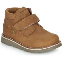 El naturalista Laarzen BROSSI kind 33
