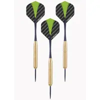 Longfield Games 2x Set van dartpijltjes met groen met zwarte flights 24 grams - Dartpijlen