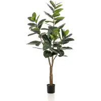 Emerald Ficus elastica tree 65lvs/180 cm