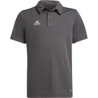 Adidas Functioneel shirt 'Entrada 22' grijs / offwhite