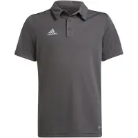 Adidas Functioneel shirt 'Entrada 22' grijs / offwhite