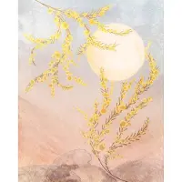Overig Sol Fotobehang - Meerkleurig - 2,50m X 200cm
