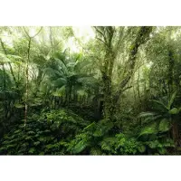 Overig Fotobehang Mindfulness - Groen - 2,50m X 350cm