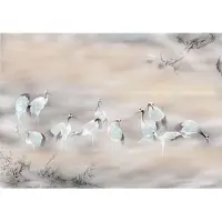 Overig Fulfillness Fotobehang - Meerkleurig - 2,80m X 400cm