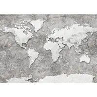 Komar Vliesbehang Digitale print vlies - World Relief - Afmeting 350 x 250 cm