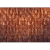 Overig Fotobehang Erosion - Bruin - 2,80m X 400cm