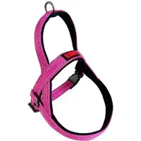 Kong Norwegian Harness Fuchsia