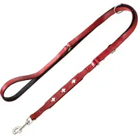 Hunter Set: Halsband Swiss maat 65 + Hondenriem Swiss 2 m lang 1,8 cm breed