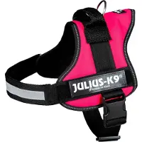 Julius-K9 IDC Powertuig/Harnas - Maat 3/82-118cm - XXL - Fuchsia