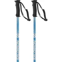 Salomon Rental Anodized Stokken