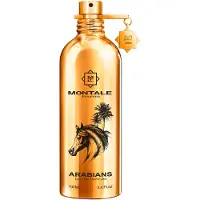 Montale Fragrances Aoud Arabians Eau de Parfum 100 ml