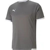 Puma teamLIGA Voetbalshirt Grijs Wit