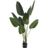 Dulaire Kunstplant Strelitzia 165 cm
